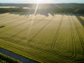 landskap_DSC3950